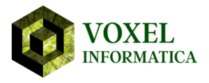 Voxel Informatica consulenza software, informatica consulenza
