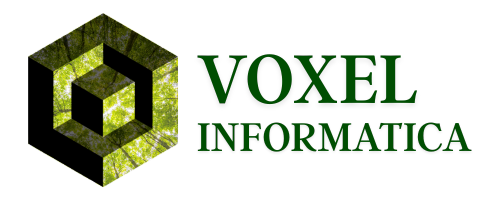 Voxel Informatica consulenza software, informatica consulenza